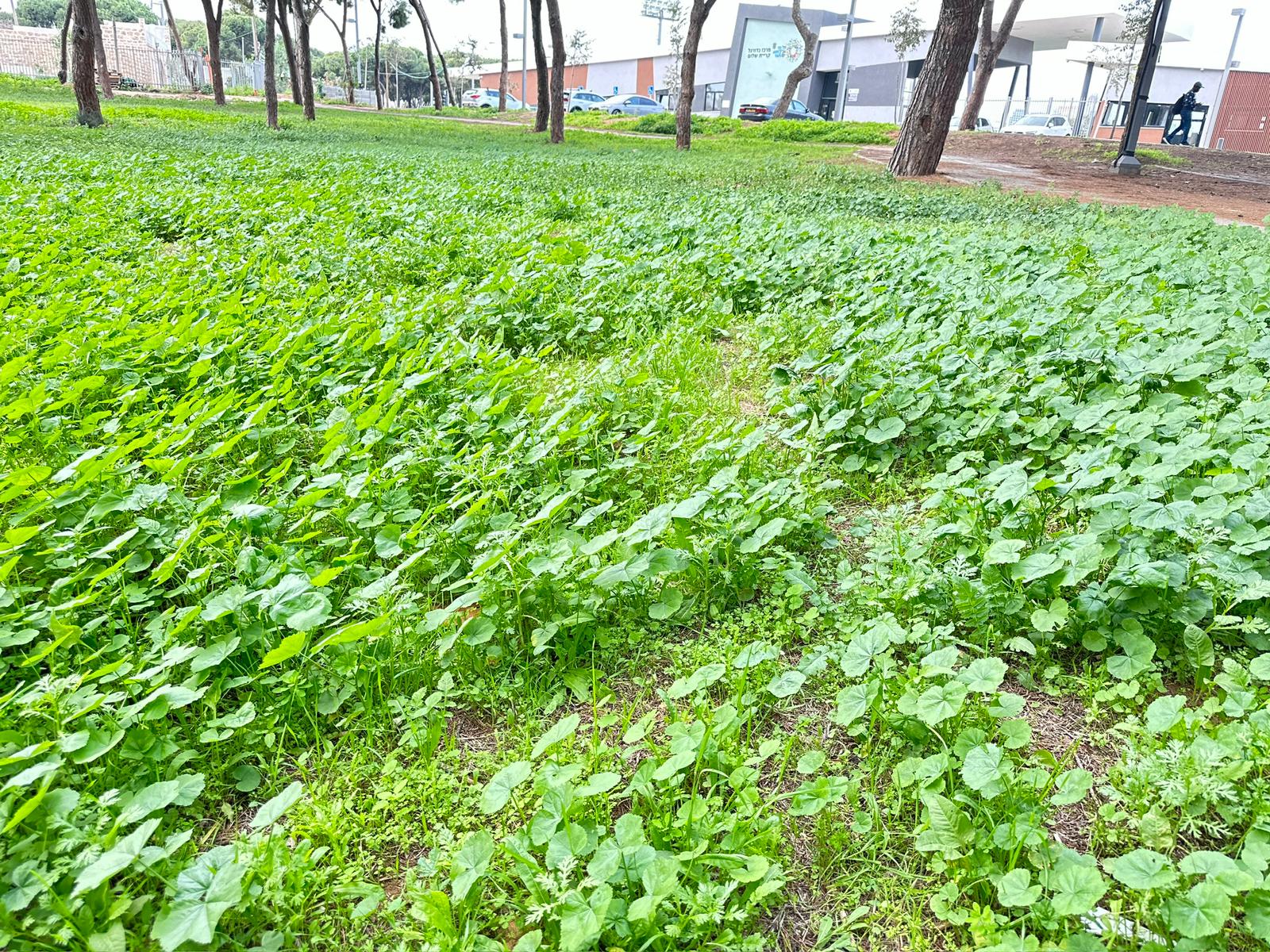 WhatsApp Image 2024-01-05 at 14.01.20.jpeg